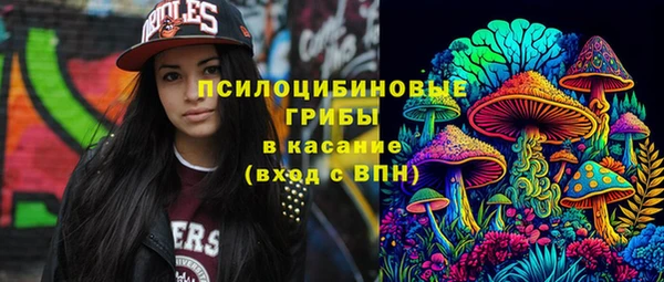 mdpv Горно-Алтайск