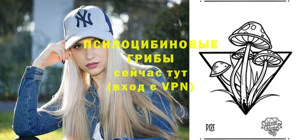 PSILOCYBIN Нефтекумск
