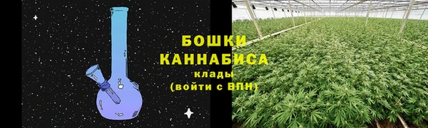 индика Навашино