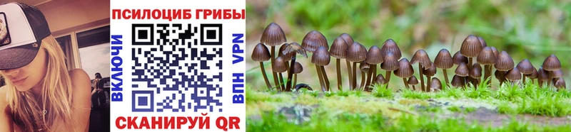 Псилоцибиновые грибы Magic Shrooms  хочу   кракен tor  Окуловка 